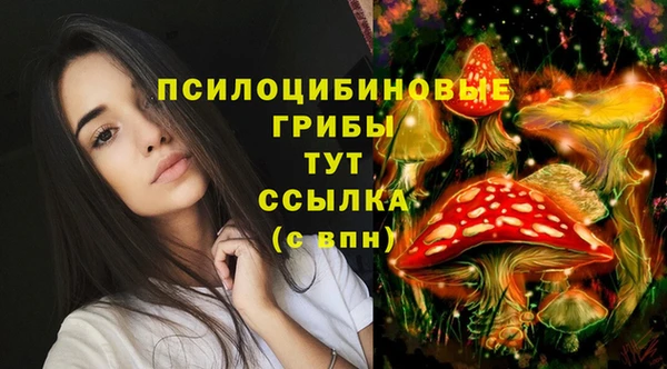 прущие крисы Каменск-Шахтинский