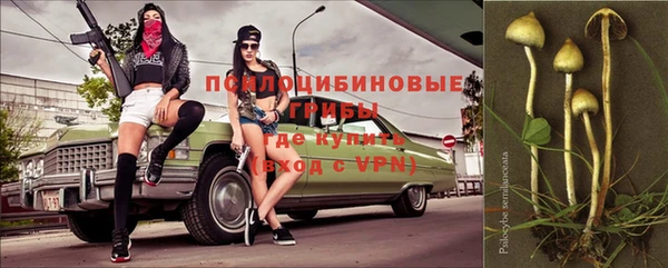 прущие крисы Каменск-Шахтинский