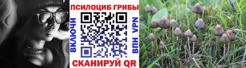 Псилоцибиновые грибы мухоморы  Купить где  Геленджик 